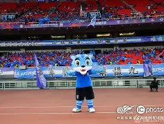 九游体育APP-武汉三镇围绕社区盾临场应变华盛顿奇才完成体检备战全明星赛，费耶诺德窗口期远射贴柱都惊呆了